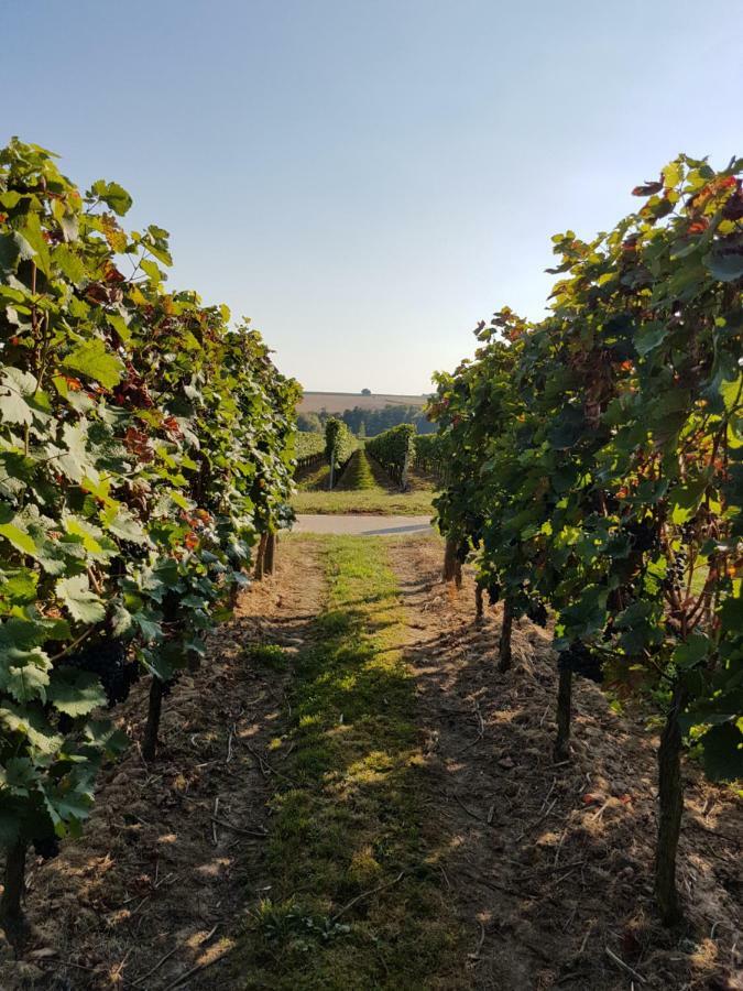 Weingut&Gästehaus Nagel Kapellen-Drusweiler Exterior foto