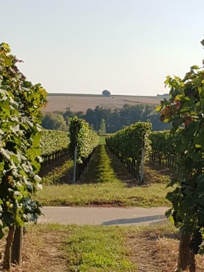 Weingut&Gästehaus Nagel Kapellen-Drusweiler Exterior foto